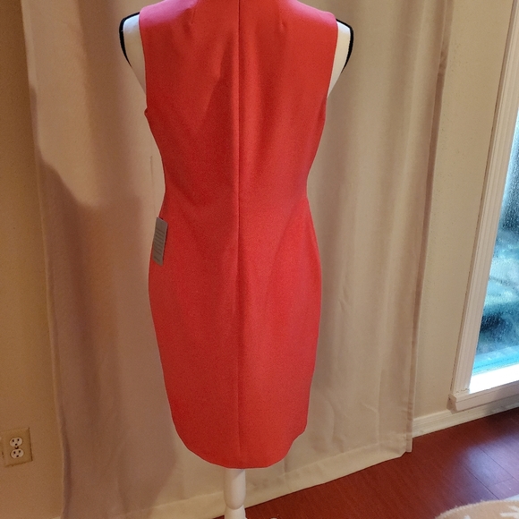 New Dress - Picture 4 of 6